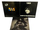 T Rex Vinyl LP Bundle x 3 Dandy in the underworld Bolan Boogie Tank 1970 Charity