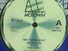 Stevie Wonder / Isn'T She Lovely Tmgltd 06 Master Blaster Jammin' Record