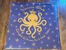 Eight Arms to Hold You (2018)  Veruca Salt Vinyl LP Record