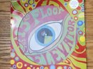 The 13th Floor Elevators 