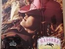 MADONNA MUSIC 2 x Vinile 12 /33 Rpm - Us 2000 Maverick 9 44909-0 - NEW SEALED -