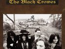 The Black Crowes - The Southern Harmony And Musical Companion [New Vinyl LP]