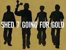Shed Seven | Black 2xVinyl LP | Going For Gold |