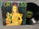 Miniature Tigers fortress LP SIGNED Indie Alternative Rock Modern Art Records