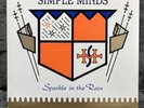 Simple Minds – Sparkle In The Rain | Japan Pressung LP Vinyl Schallplatte Rock