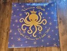 Eight Arms to Hold You (2018)  Veruca Salt Vinyl LP Record