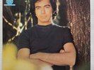 NEIL DIAMOND Heartlight 1982 US CBS Records Half-Speed Mastered AUDIOPHILE LP