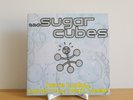 The Sugarcubes 