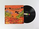 The Hobbits - Down To Middle Earth on Decca Stereo