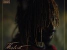Thundercat - It Is What It Is LP RED COLORED Vinyl Album - NEW RECORD Steve Lacy