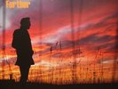 Richard Hawley 'Further' LP New Orange LP 4050538478631 - SEALED