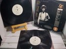 The World of Skin - Prod US 11 1988 DOUBLE LP Michael Gira Jarboe Signed RARE
