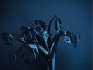 A Swarm of the Sun The Rifts (Vinyl) 12