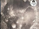 Trashcan Sinatras | Silver Vinyl LP | Wild Pendulum  - RSD