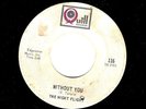 CHICAGO GARAGE 45 RPM 1967  NIGHT FLIGHT  