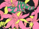 THE GOLDEN DAWN - POWER PLANT - MINT -  PSYCHE - INTERNATIONAL ARTISTS