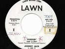 JOHNNY JACK/GROUP 45RPM '63 LAWN FOREVER(AND A DAY) DOO WOP BALLAD PROMO VG+++