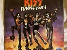 RARE ORIG VG+ 45 with PICTURE SLEEVE Kiss Flaming Youth God Of Thunder