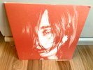 Deerhunter Microcastle / Weird Era Continued Original LP x2 NM