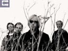 TOM PETTY & HEARTBREAKERS: ECHO - LP vinyl *BRAND NEW*