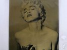 MADONNA WHO'S THAT GIRL - WORLD TOUR 1987 NONE NONE JAPAN VINYL BOOK
