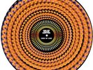 Kings Of Leon “Can We Please Have Fun?”- Orange Zoetrope Vinyl - New