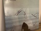 Foals - What Went Down. Signed Limited Edition Vinyl LP, Factory Sealed & Mint