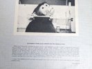 Robert Wyatt - The Animals Film (1982) LP Vinyl 33T