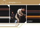 Simple Minds Cry (Vinyl) 12