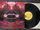 BLUE MOUNTAIN EAGLE-ST LP RARE US ORIGINAL ATCO SD 33-324 1ST PSYCH ACID ROCK