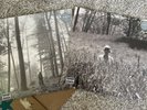 2 Taylor Swift - Folklore LPs SEALED In the Weeds & In the Trees FREE SHIPPING