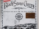 Black Stone Cherry : Between the Devil & The Deep Blue Sea : Ltd Silver Vinyl