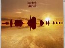 Kate Bush AERIAL Vinyl LP Two Record Set (2018 Remaster) Complete MINT