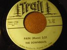 RARE Kingsport, TN Rock Garage The Downbeats 