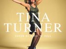 Tina Turner Queen of Rock 'N' Roll (Vinyl)