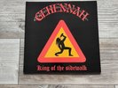 Gehenna King Of The Sidewalk LP Sodom Slayer Cruel Force Vinyl