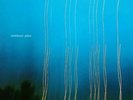 Pasteboard - Glitter Limited Edition Coke Bottle Clear  x/100 Bonus Track JUNE