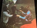 THE SOFT BOYS Invisible Hits vinyl LP
