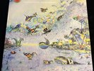 The Soft Boys – Underwater Moonlight VINYL LP