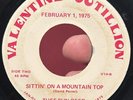 RARE Southern Hard Rock Unknown 45 TUFF SUN REED Sittin’ On A Mountain Top VG *
