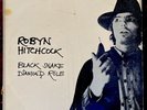 Robyn Hitchcock BLACK SNAKE DIAMOND ROLE vinyl 1981 FIRST UK PRESS Armageddon LP