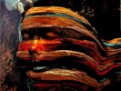 BJORK- Bastards 2-LP (NEW Vinyl) Remixes Album - Sacrifice/Virus/Moon etc