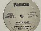 FATMAN RIDIM SECTION Night of Ridim - Cosmic Synth Boogie Funk Dub Reggae 12