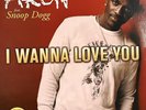 Akon Ft Snoop Dogg “I Wanna Love You” / “Struggle Everyday” 12inch Vinyl
