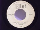 Telstars,Lads 102,
