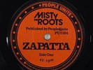 Misty In Roots 