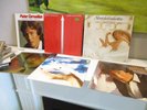 Peter Cornelius 6 LP Vinyl Schallplatte Rock Blues Pop PeterCP2