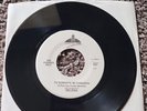 Rare EMI Latin 45 RPM - Selena - Tu Robaste Mi Corazon / No Debes Jugar