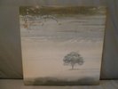 GENESIS - WIND AND WUTHERING - 1st PRESS - UK - COMPLETE - MINT PLAY