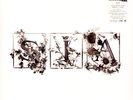 Sia - Colour The Small One Record Store Day 2024 White Vinyl  (2003 - Reissue)